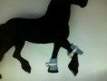 Pees Beschermers